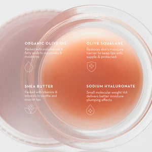 BALM LIP 8ML OLIVE LIP FURTUNA