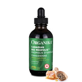 BEE PROPOLIS 100ML F/ALCOHOL