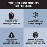 BRAIN SUPPORT 90 CAPS JUST.ING