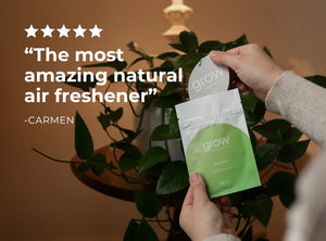 CAR FRESHENER 2PACK GROW FRAGRANCE BAMBOO