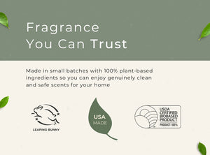 CAR FRESHENER 2PACK GROW FRAGRANCE BAMBOO