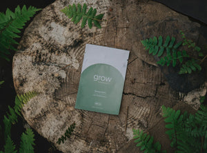 CAR FRESHENER 2PACK GROW FRAGRANCE FOREST FERN