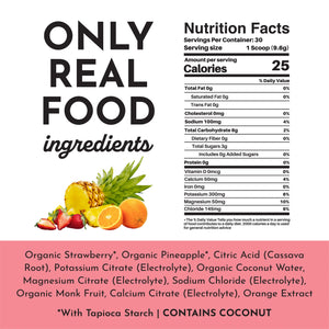 ELECTROLYTES 289G FRUIT PUNCH JUST INGREDIENTS