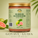 SEAMOSS GEL 473M GOYAVE