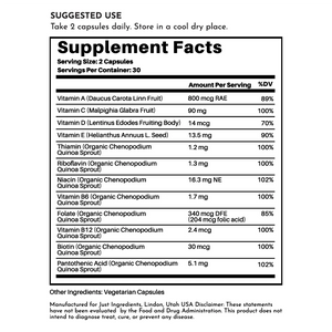 MULTIVITAMIN 30CAP JUST.INGREDIENTS