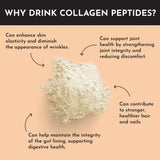 PLAIN COLLAGEN PEPTIDES 339G