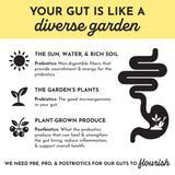 PROBIOTIC 30 STICK LEMON GINGER JUST.INGREDIENTS