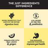 PROBIOTIC 30 STICK LEMON GINGER JUST.INGREDIENTS