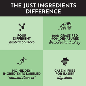 PROTEIN 1102G JUST INGREDIENTS MATCHA