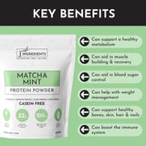 PROTEIN 1102G JUST INGREDIENTS MATCHA