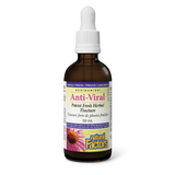 Natural Factors Anti-Viral Potent Fresh Herbal Tincture   50 mL Tincture