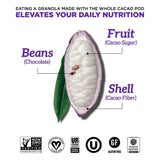 GRANOLA CACAO WHOLE 226G PEANUT BUTTER BANANA BLUE STRIPES