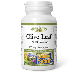 Natural Factors Olive Leaf  500 mg  90 Capsules