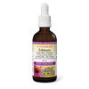 Natural Factors Echinacea Fresh Herb Tincture   Alcohol-Free     50 mL Tincture Natural Berry