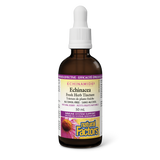 Natural Factors Echinacea Fresh Herb Tincture   Alcohol-Free     50 mL Tincture Natural Berry