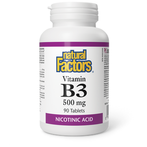 Natural Factors Vitamin B3  500 mg  90 Tablets