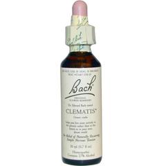 CLEMATIS 20ML BACH