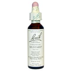 MOUTARDE 20ML BACH