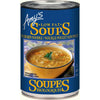 SOUPE 398M POULET SANS POULET