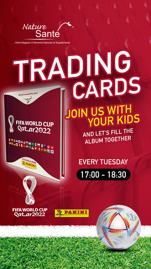 TRADING DAY WORLD CUP PANINI STICKERS