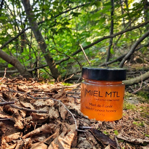 MIEL 320G FOREST MONTREAL