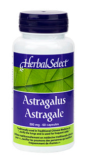 ASTRAGALUS 500MG 60VCAP HERB