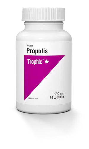 PROPOLIS PURE 500MG 60CAP.TR